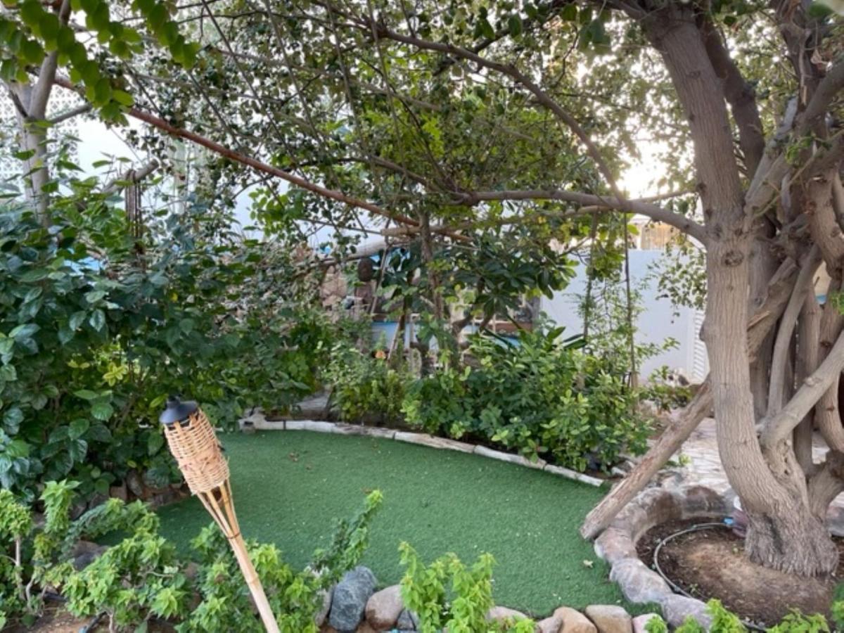 Alhosani Property أبو ظبي المظهر الخارجي الصورة