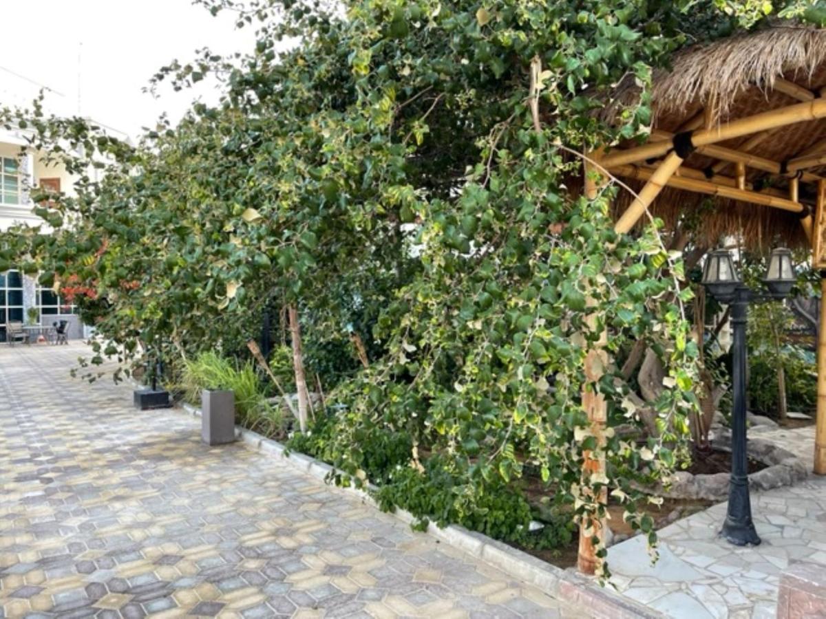 Alhosani Property أبو ظبي المظهر الخارجي الصورة