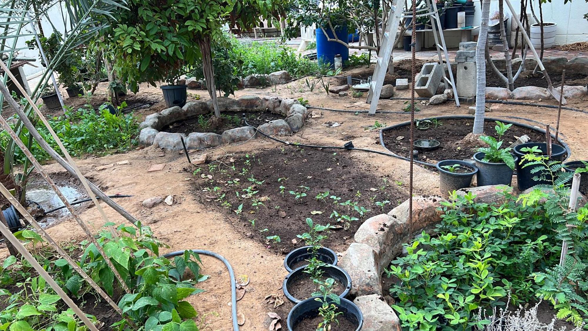 Alhosani Property أبو ظبي المظهر الخارجي الصورة
