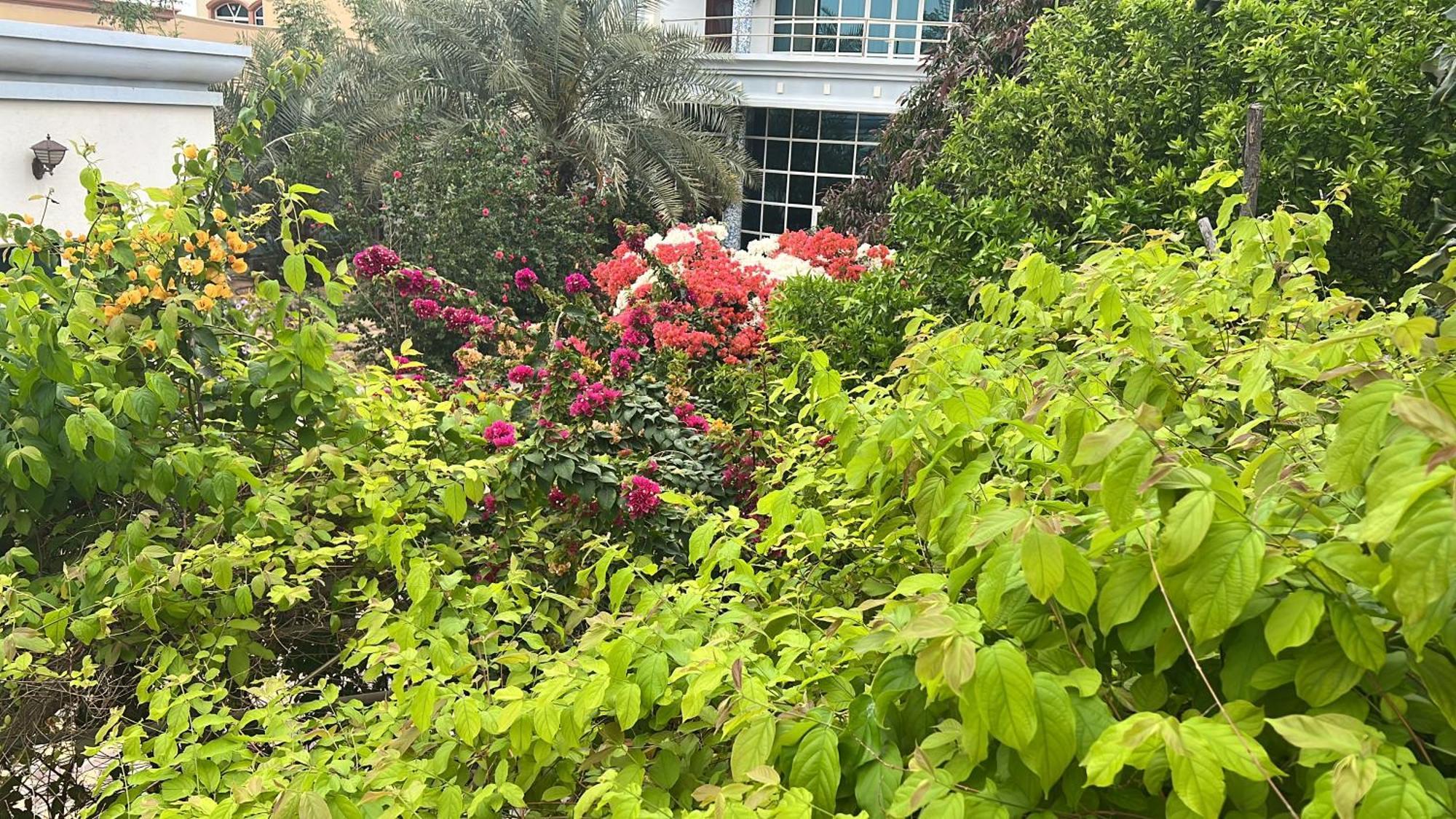 Alhosani Property أبو ظبي المظهر الخارجي الصورة