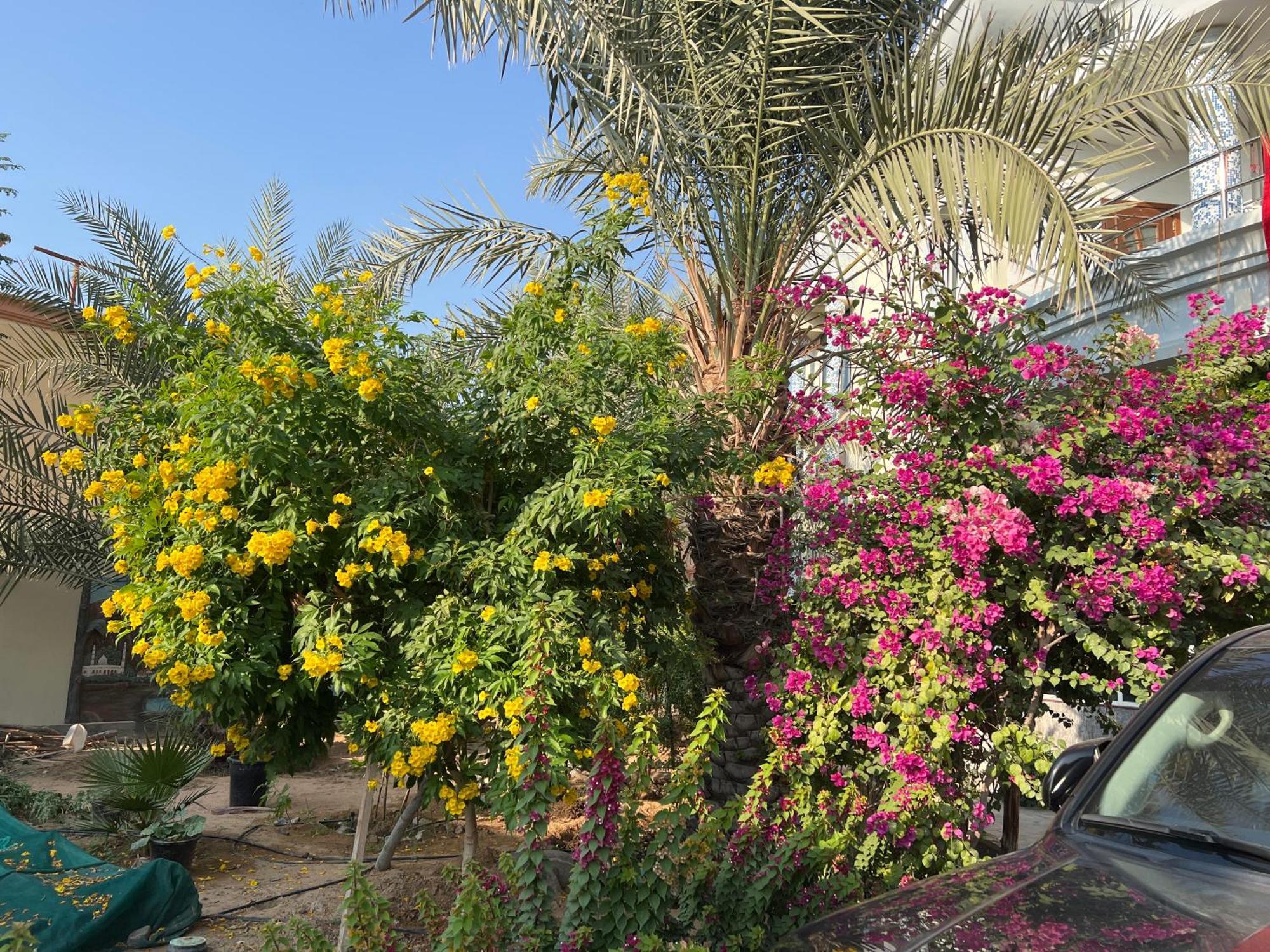 Alhosani Property أبو ظبي المظهر الخارجي الصورة